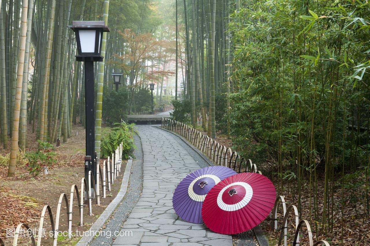 日本伞小径