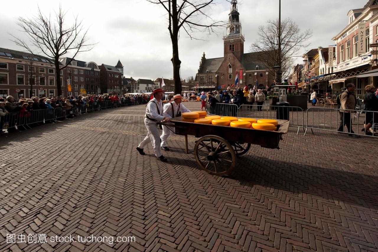 荷兰男人推着奶酪在阿尔克马尔。