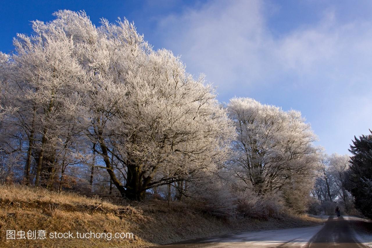 英国鸟类霜冬天冷的行走路径伍兹白金汉郡