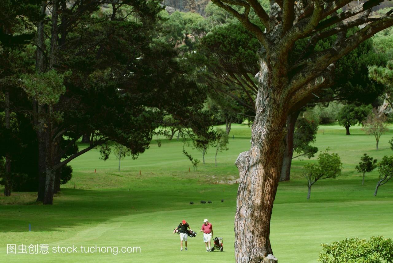 两个高尔夫球手在完美的环境中携带自己的俱乐