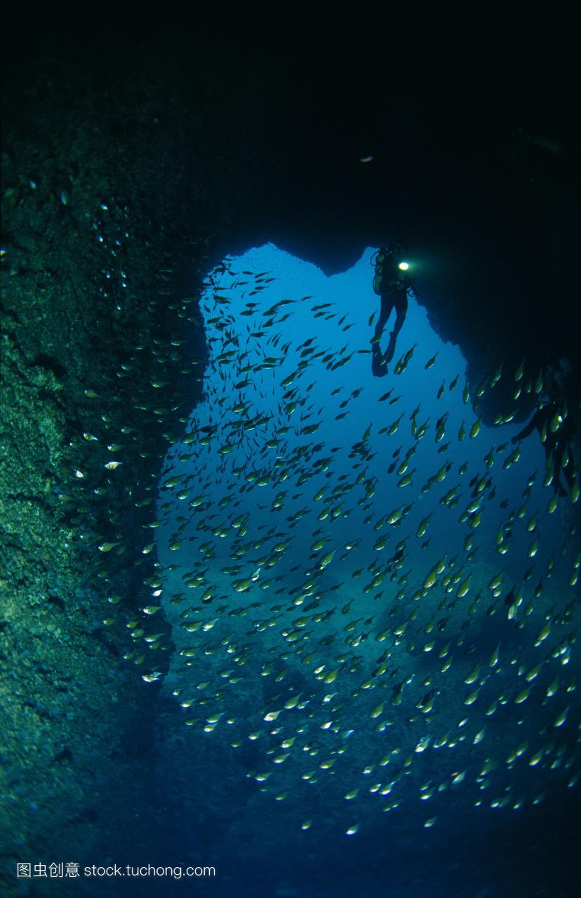 泰国在洞穴潜水手电筒满了清洁工小鱼