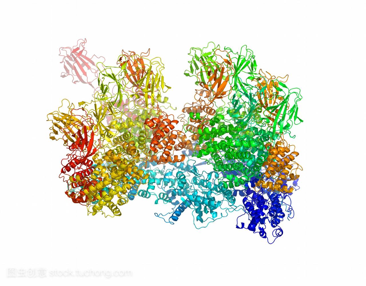 蓝舌病病毒蛋白质结构。分子模型的一些蛋白质