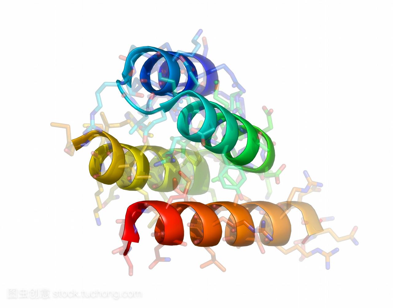 麻疹病毒的蛋白分子模型。病毒的一个域是P蛋