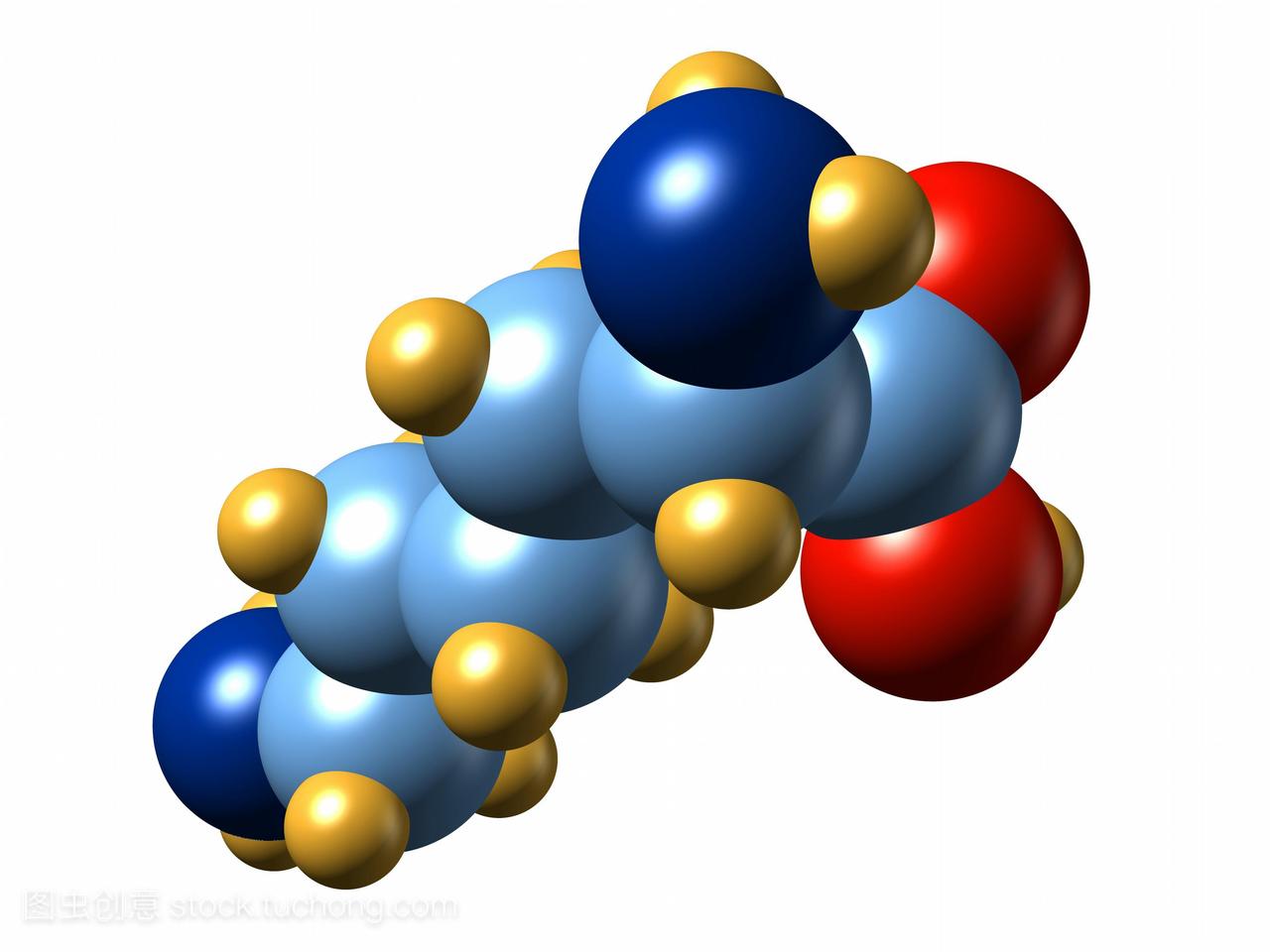 赖氨酸。分子氨基酸赖氨酸的模型。它的化学式