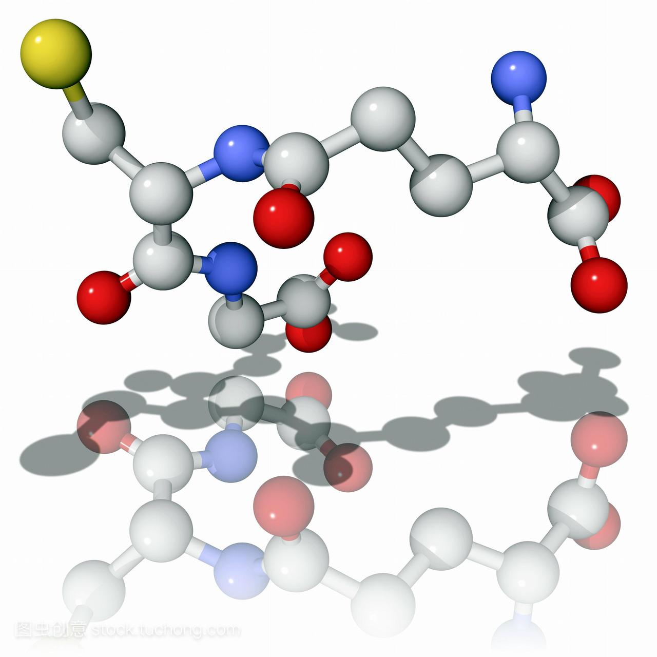 胱甘肽。抗氧化剂谷胱甘肽的分子模型销售税。