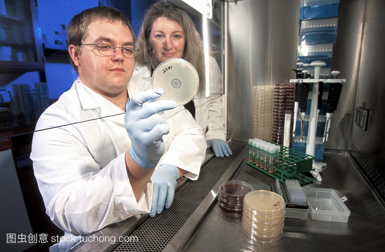 生理学家中心和研究生检查培养皿识别细菌可以