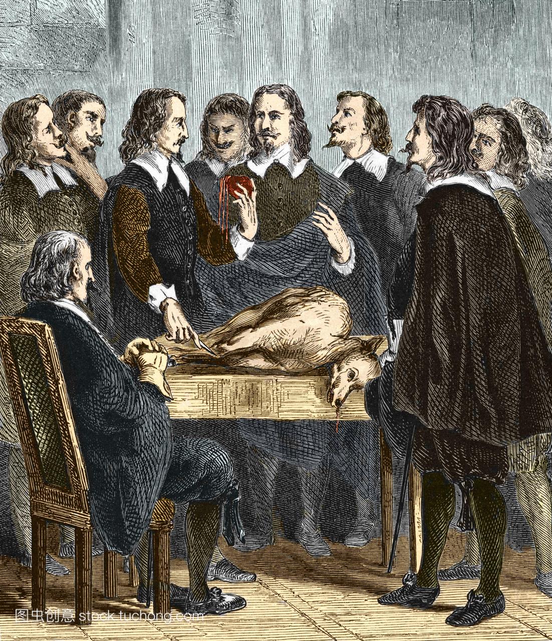 威廉·哈维1578-1657英国医生解剖动物讲座期