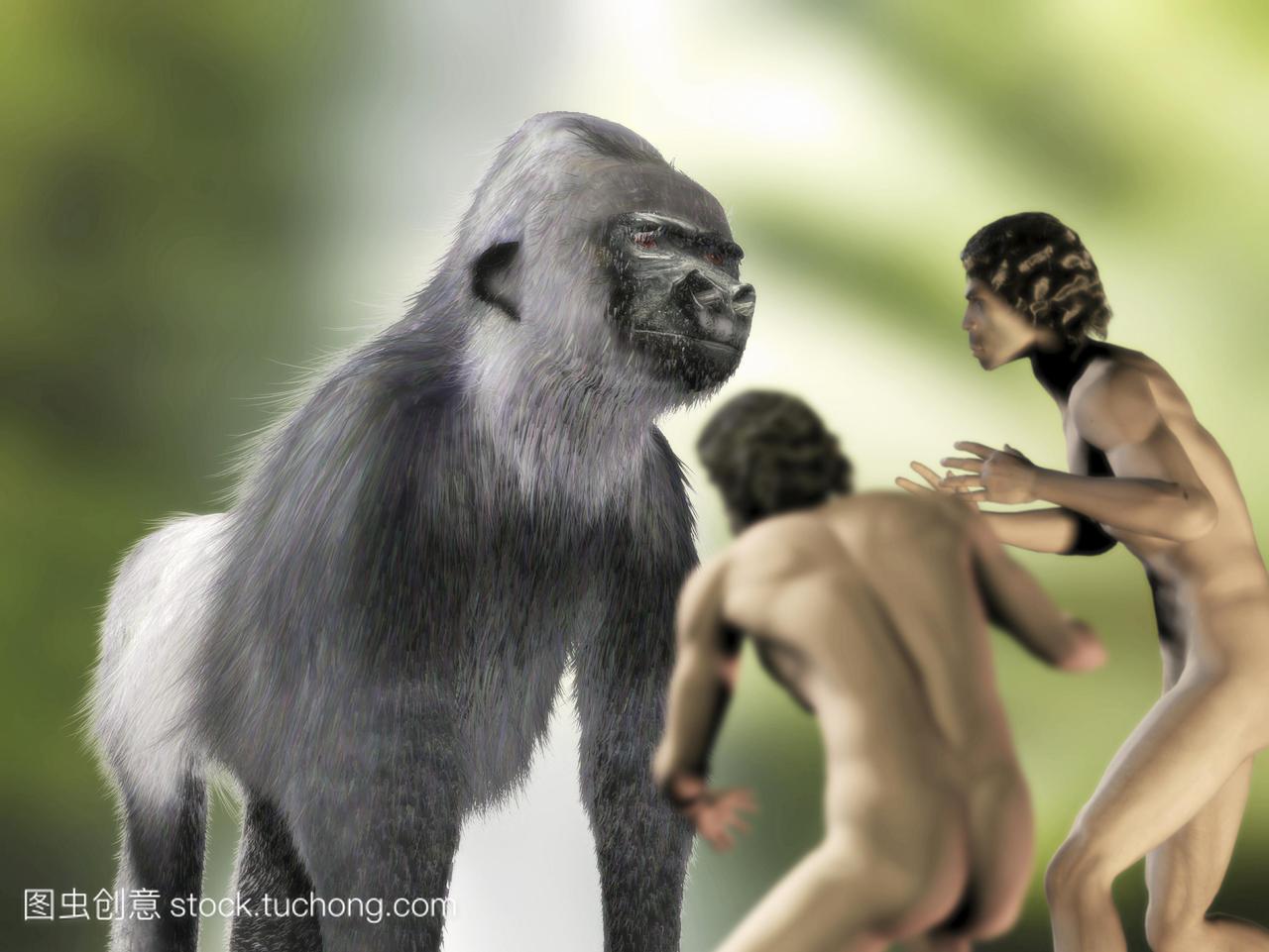 灭绝的巨型大猩猩gigantopithecussp。艺术家对