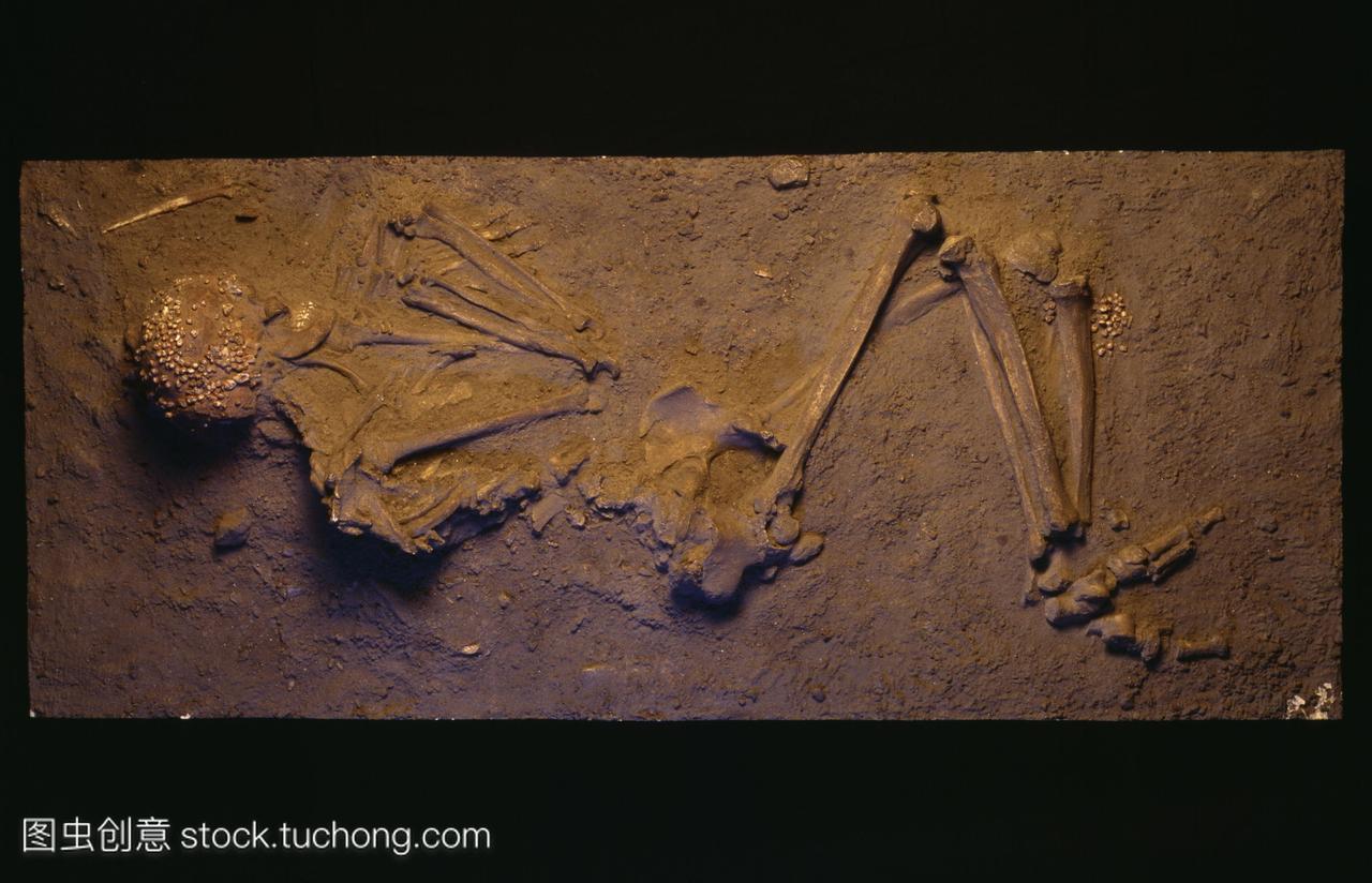 石器时代的墓葬遗迹化石遗迹化石遗迹的化石,
