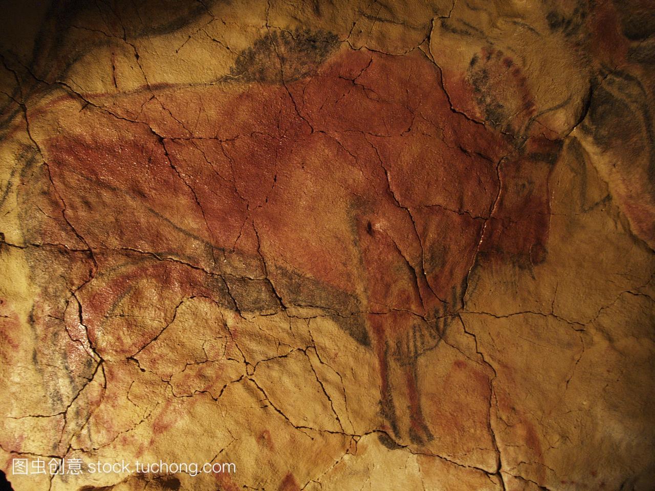 洞穴绘画野牛的阿尔塔米拉洞穴西班牙。这个洞