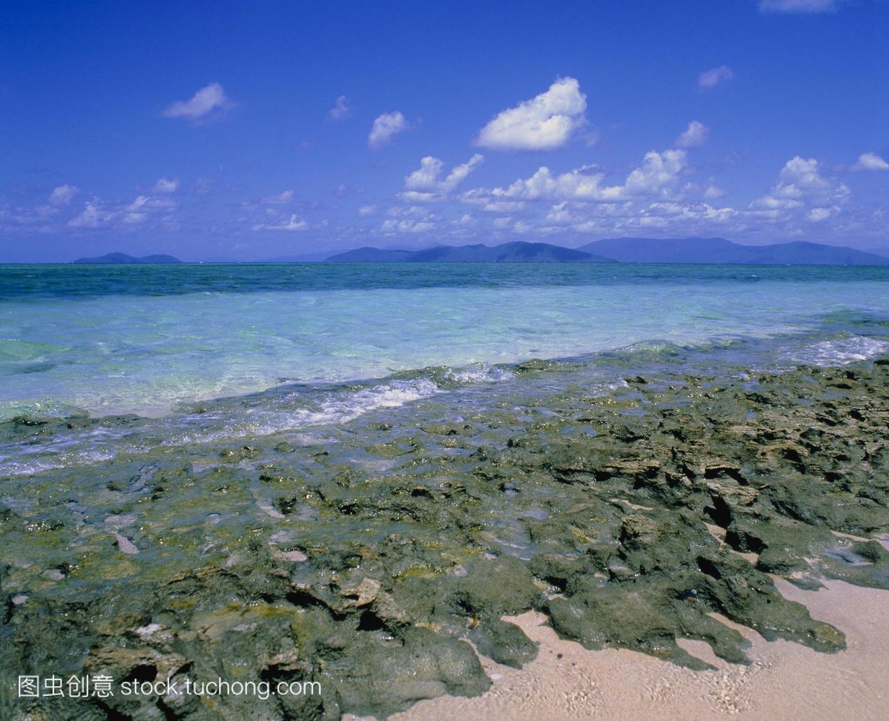 珊瑚礁在潮汐区绿色岛昆士兰澳大利亚大堡礁的