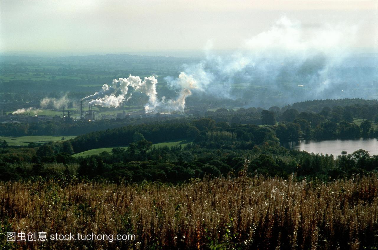 空气污染来自重工业。这种植物释放的化学物质