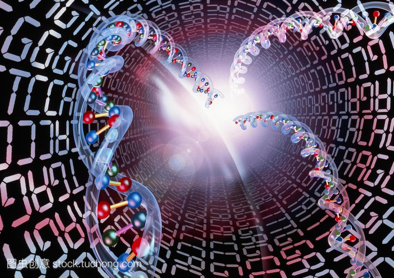 的DNA脱氧核糖核酸双螺旋分子包围字母