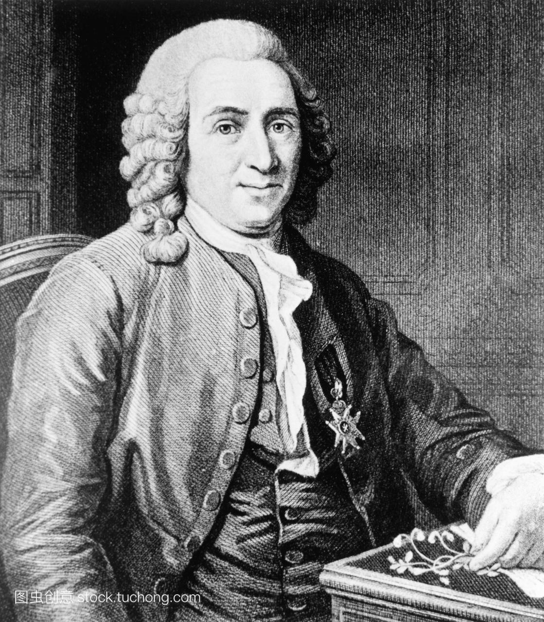 像1707-78瑞典植物学家作为一个年轻的男人。