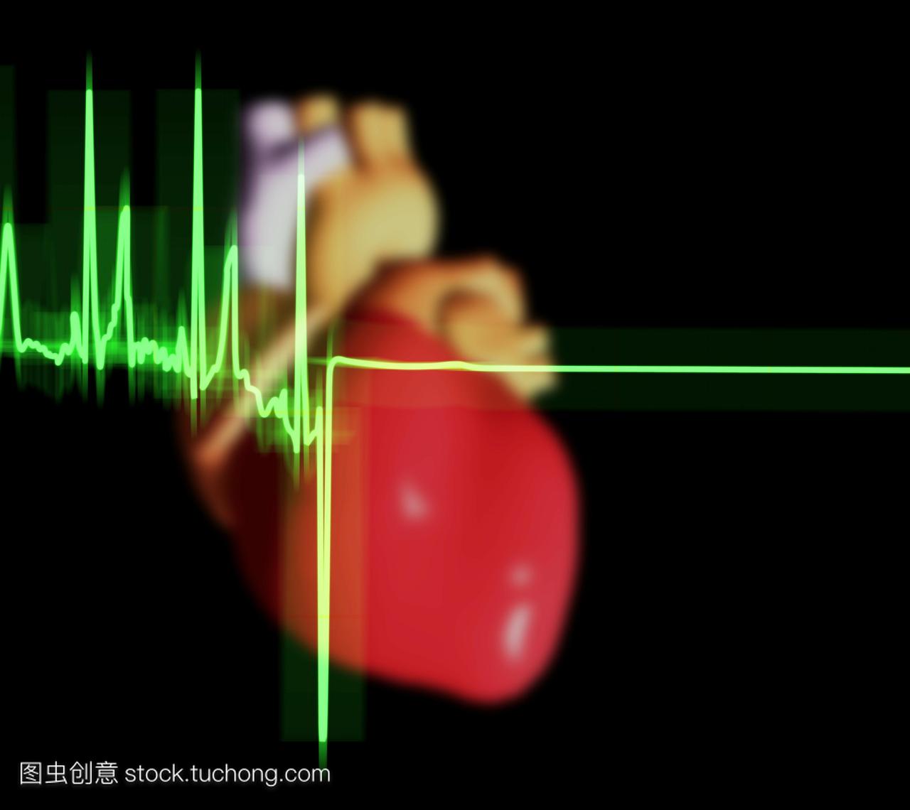 心电图跟踪和心脏。心电图心电图在人的心脏前