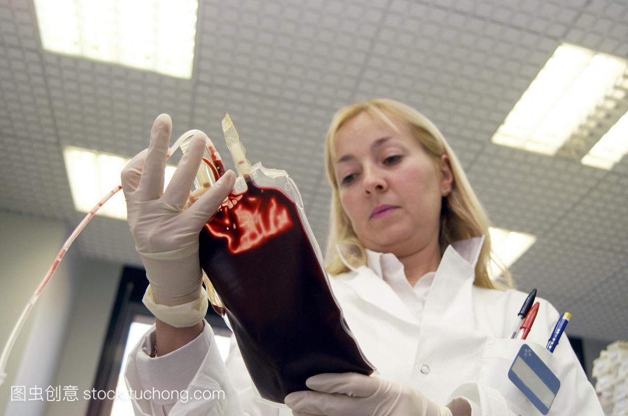模型发布。实验室助理的献血袋。这个袋子里大