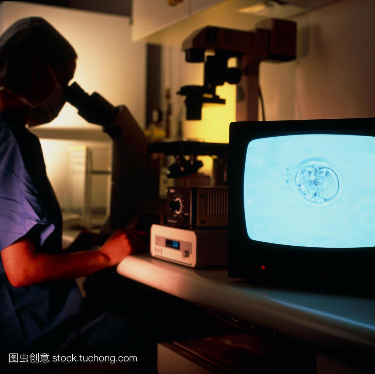 模型发布体外受精胚胎技术员用显微镜来研究产