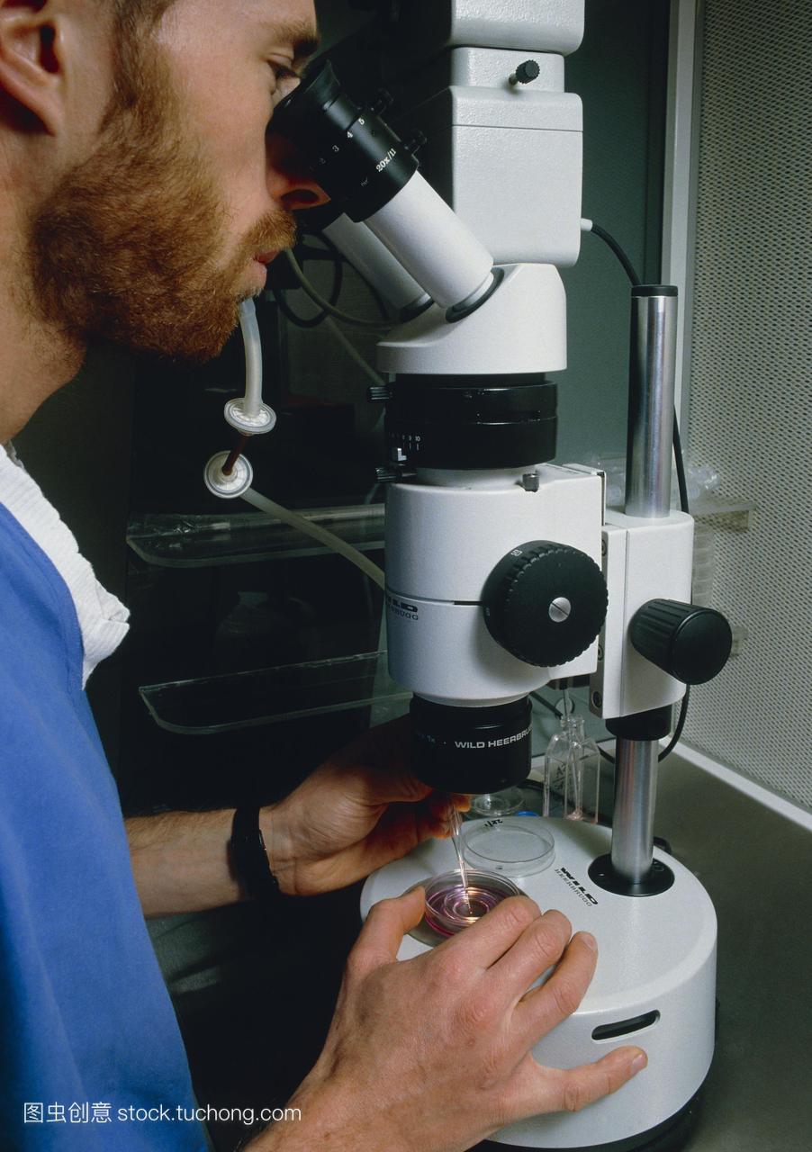 院的试管婴儿单元,技术人员使用光学显微镜来