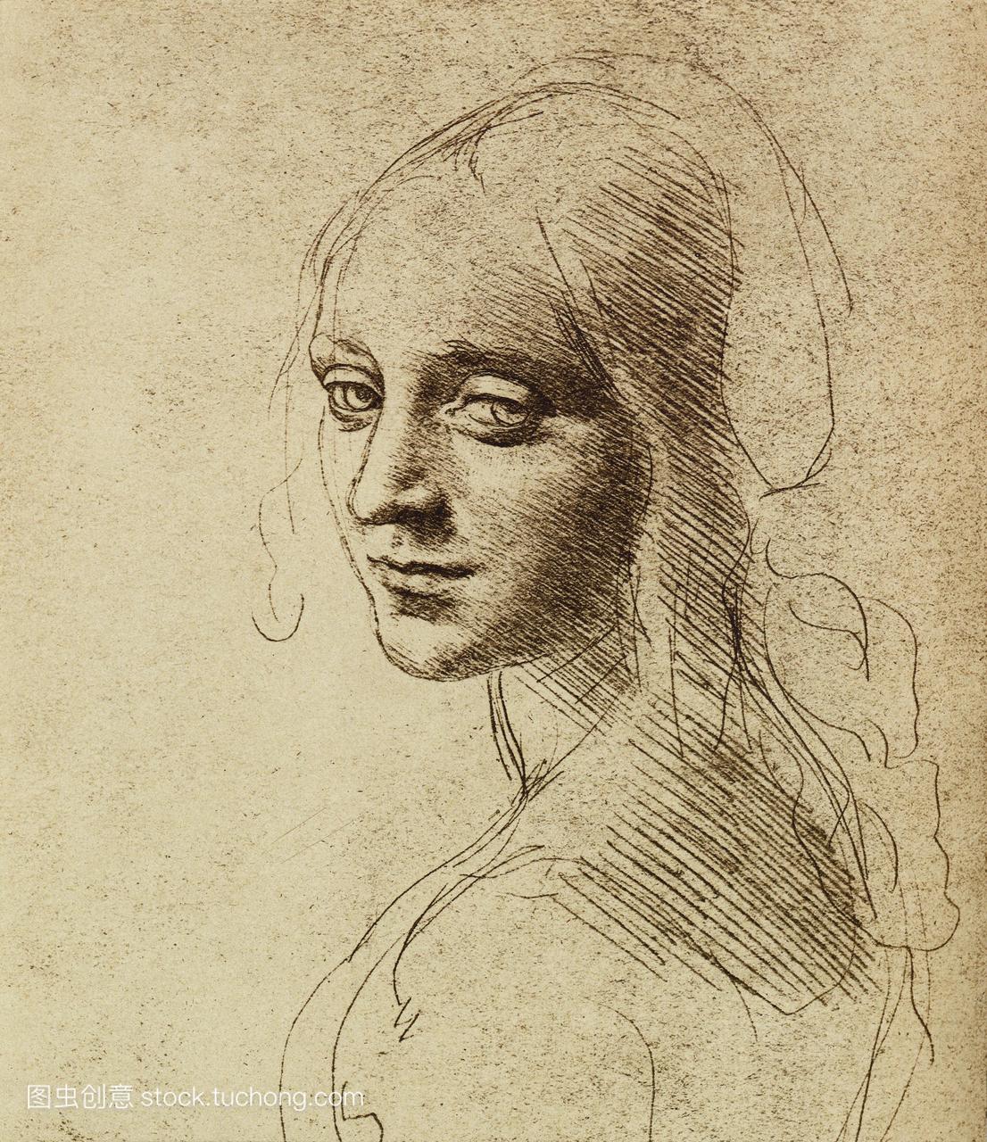 奥纳多·达·芬奇的艺术作品。女头由意大利艺