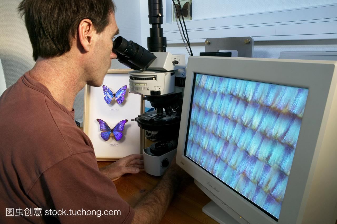 光学显微镜。科学家使用光学显微镜研究蓝色大