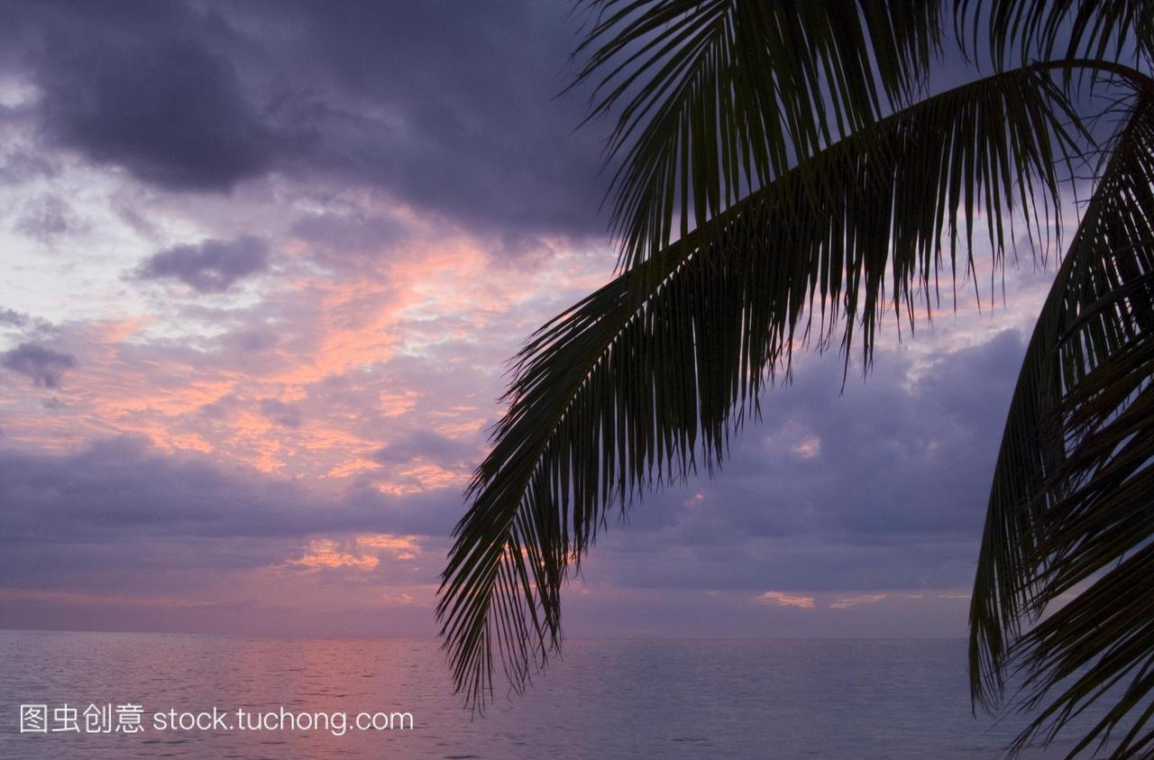 日落在盐湖肘和棕榈树叶在轮廓特立尼达古巴中