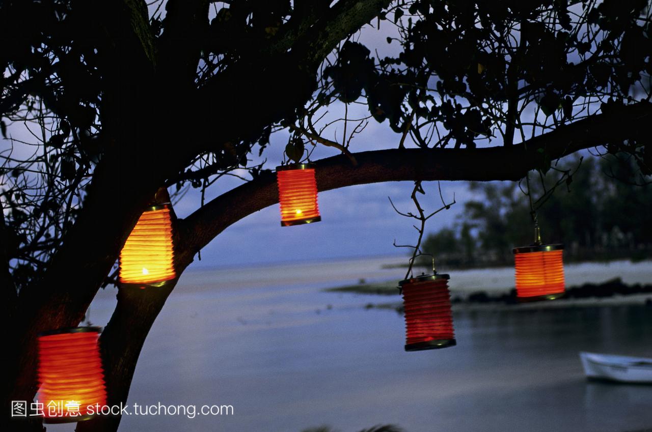 毛里求斯岛,中国的灯笼在一棵树上,海在后面,夜