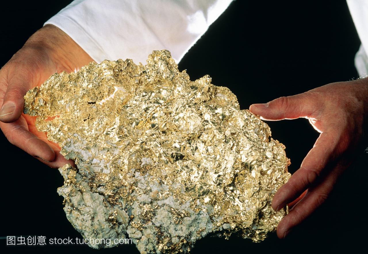 黄金。手握着一块含有天然黄金的大石头。这块