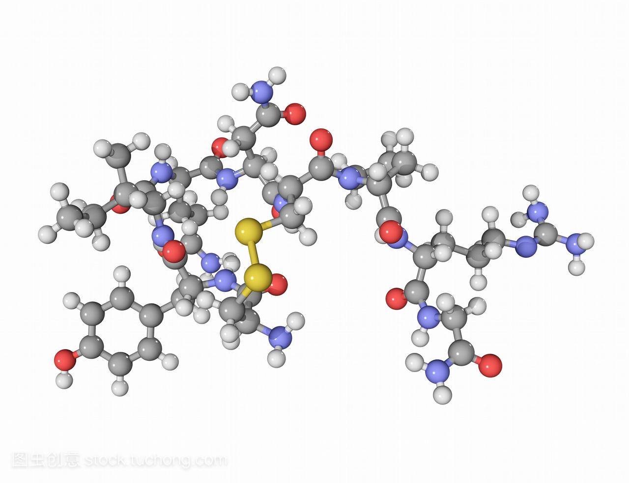 抗利尿激素的荷尔蒙激素分子计算机模型显示结
