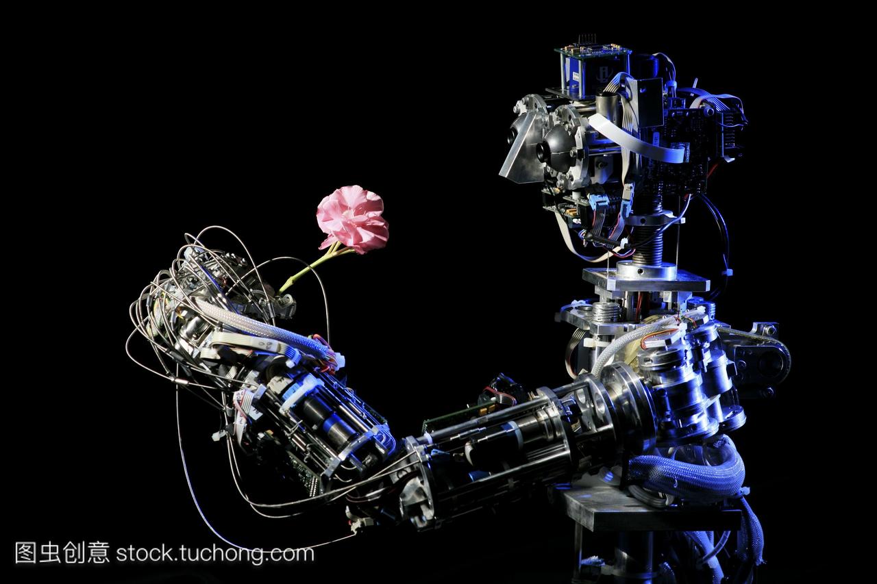 icub机器人拿着一朵花。icub是由来自欧洲大学