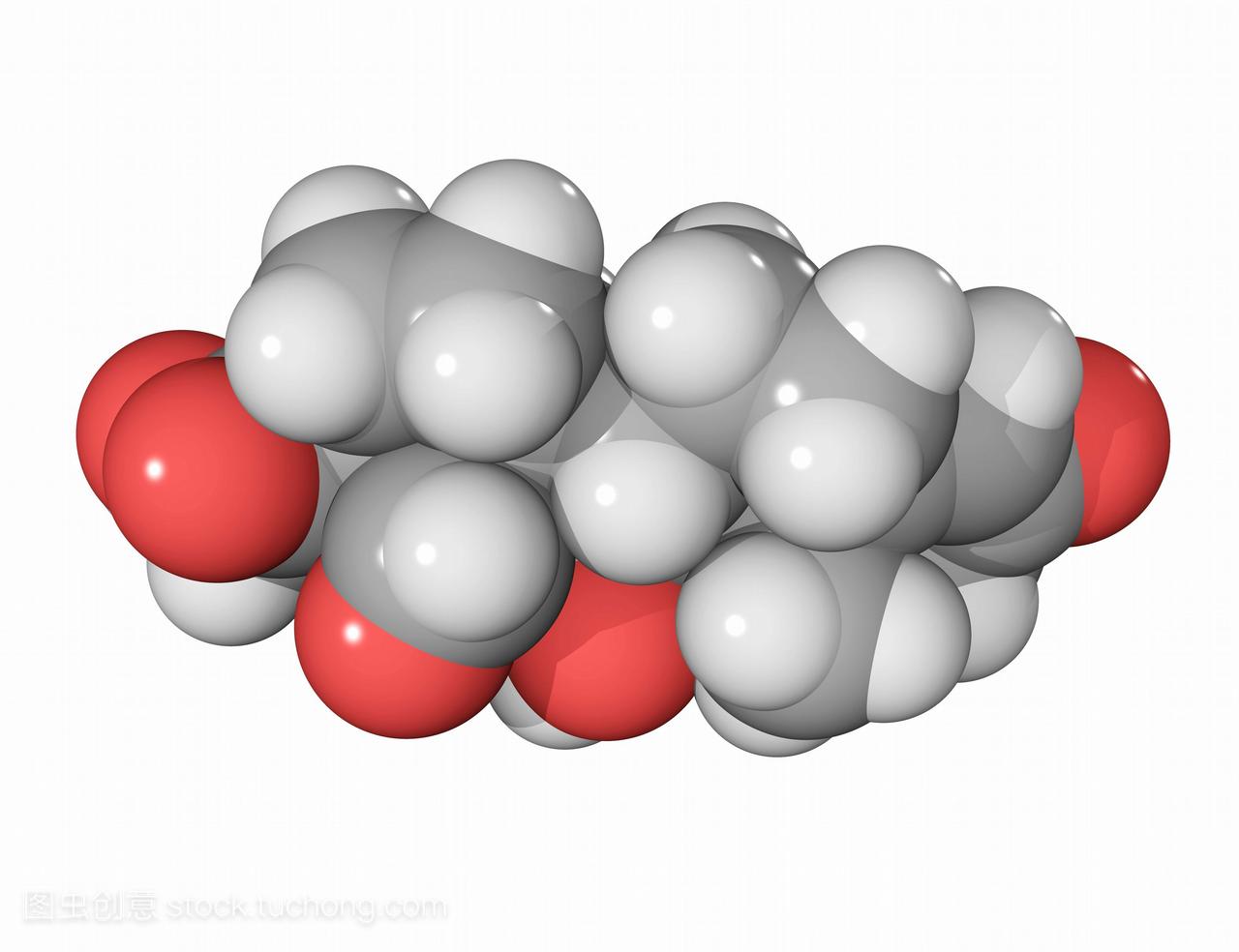 醛固酮分子。显示类固醇激素醛固酮分子结构的