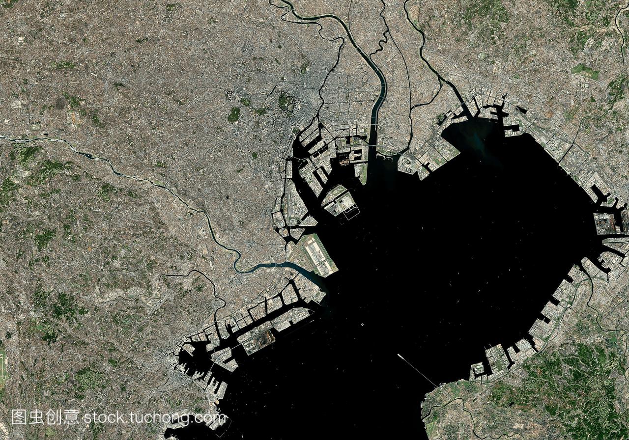 东京,日本,卫星图像植被是绿色的,裸露的地面是