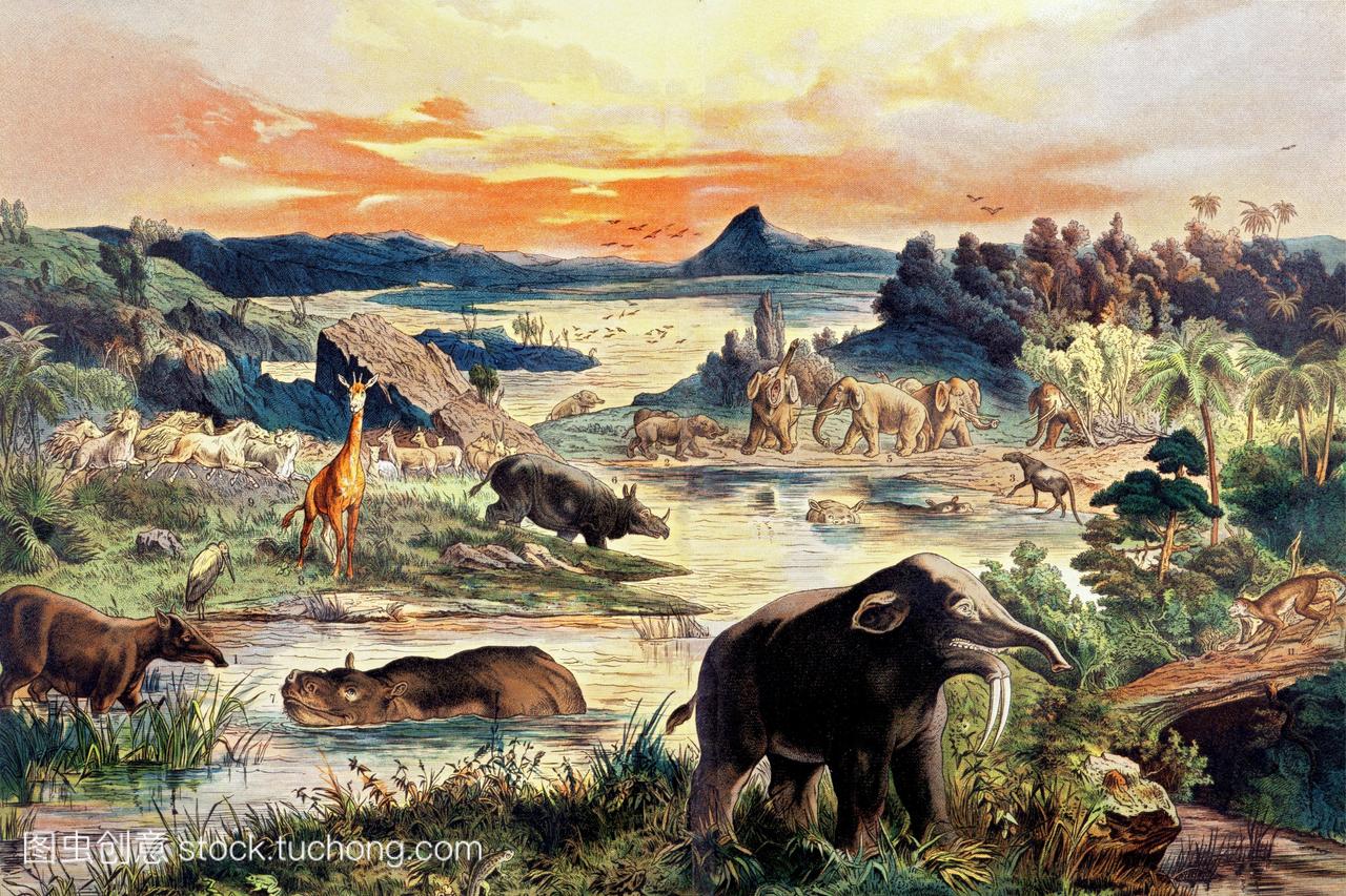 第三纪哺乳动物1,河马7,dinotherium4,pithecus
