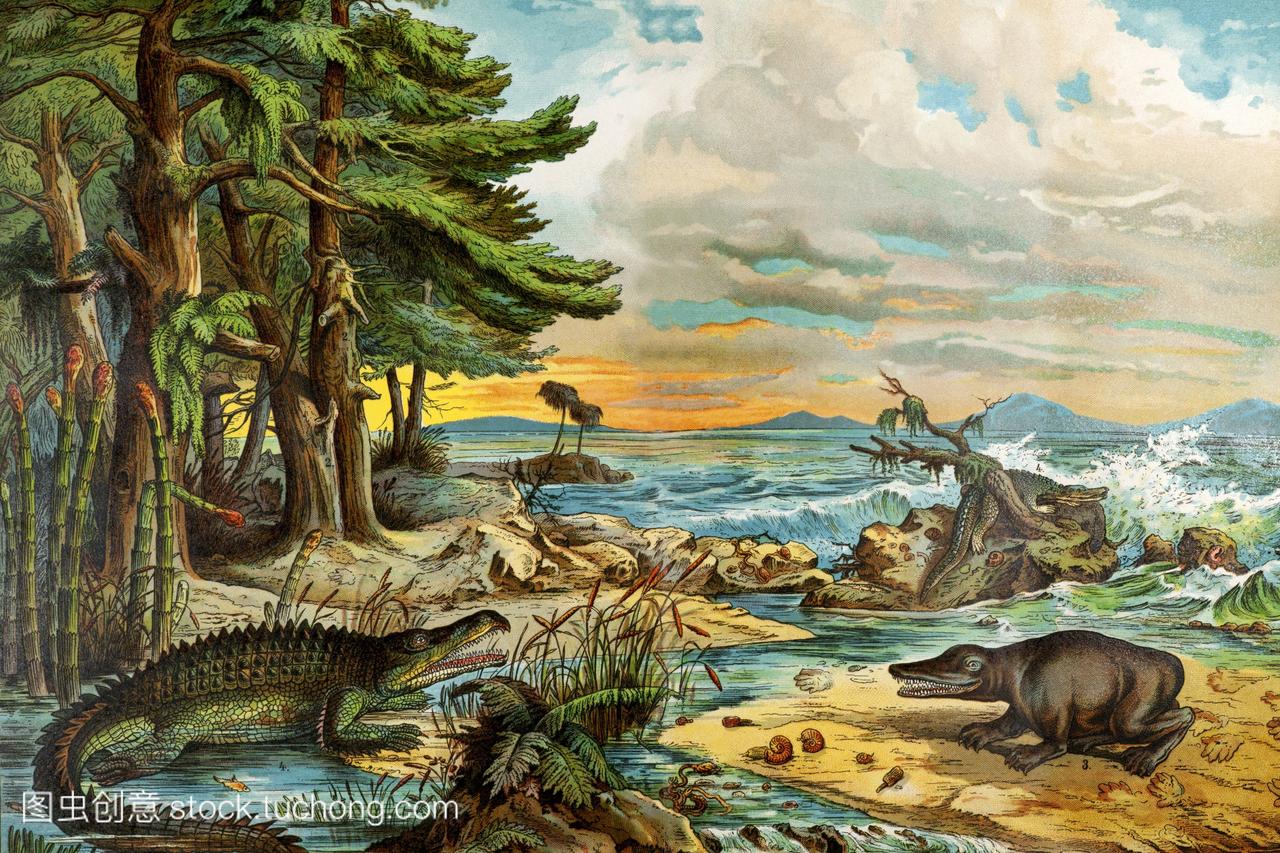 三叠纪的景观。生动的彩色平版印刷博士。舒伯特的Naturgeschichte学界,MineralreichPalaontologie”。在斯图加特1888年发表的参考书籍Shreiber。古生物学部分弗里德里希·罗尔博士。前景是Belodon鳄鱼phytosaur前台对Mastodonsaurustemnospondyl两栖动物。当时这是雕刻Mastodonsaurus负责脚印在三叠纪砂岩和描述为Chirotherium但最近的研究表明跟踪跟踪属于爬行动物化石的拟鳄亚目。德国石版家主导色彩光刻与高容量产品如这本书对孩子们。”