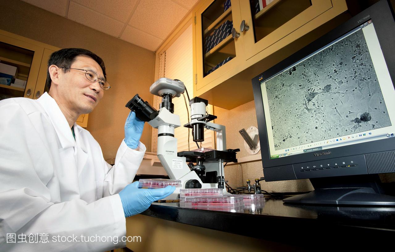 微生物学研究。微生物学家研究重组新城鸡瘟病