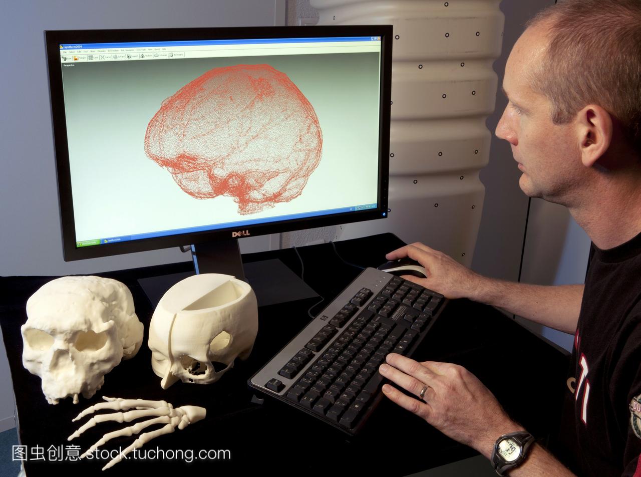 研究大脑的结构。克罗-马格尼人是现代人类智