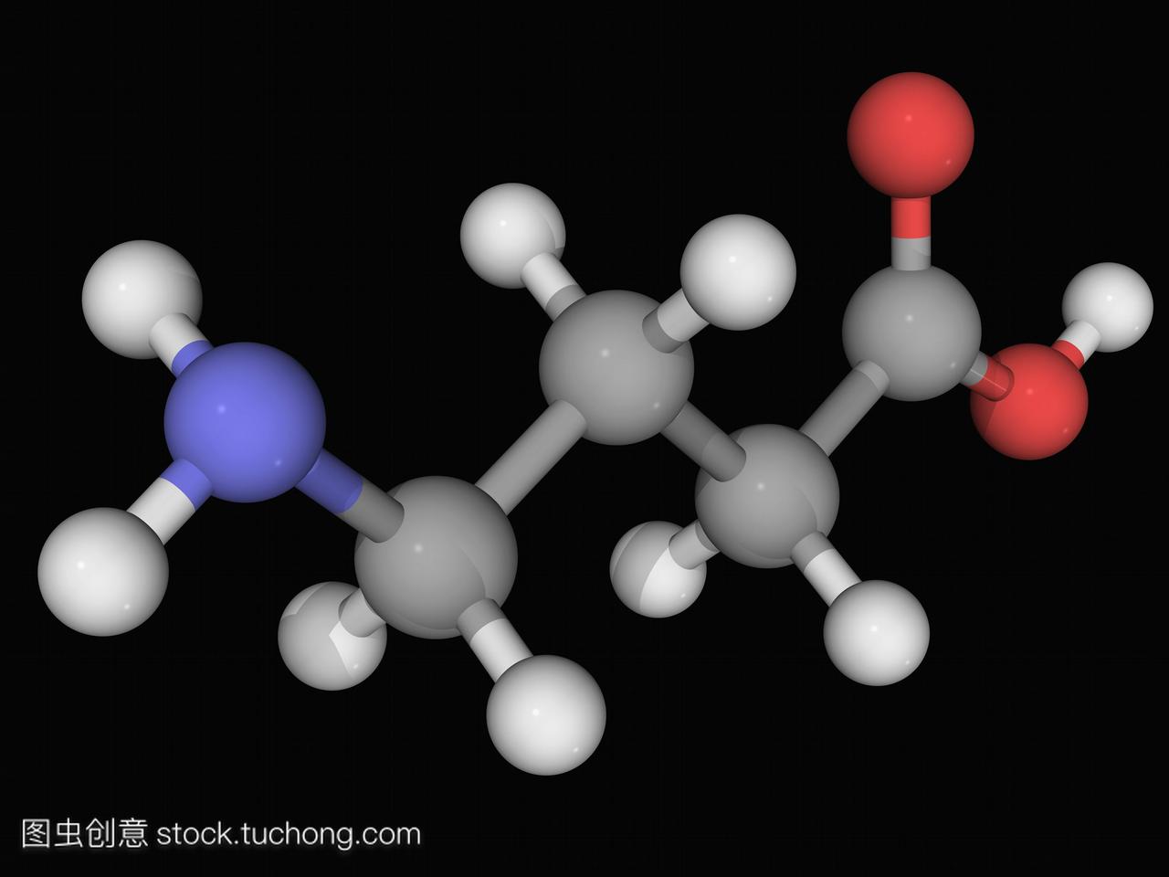 伽马氨基丁酸gaba,分子模型。哺乳动物中枢神