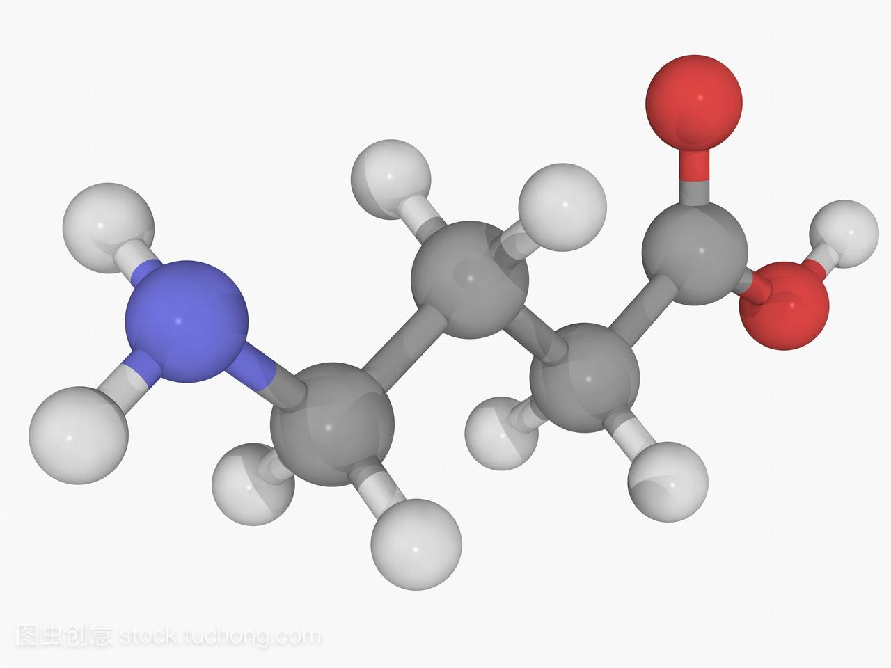 伽马氨基丁酸gaba,分子模型。哺乳动物中枢神