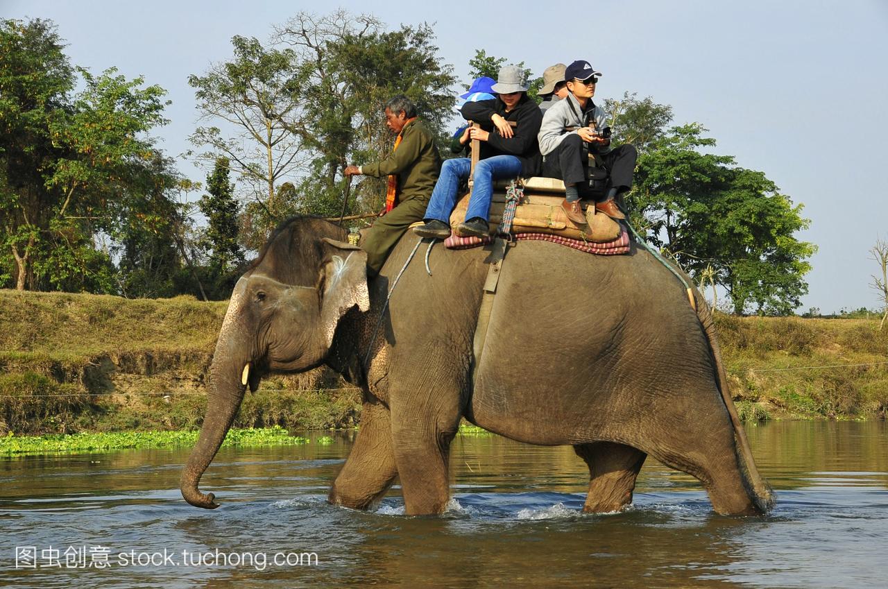 尼泊尔,奇旺国家公园,游客在公园里骑大象