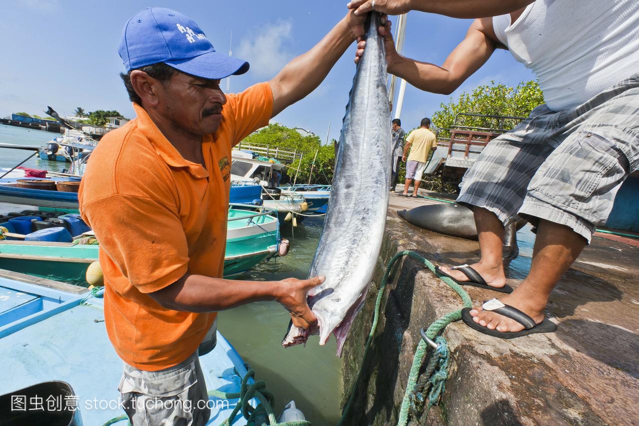当地的鱼市场波多黎各ayora圣克鲁斯岛加拉帕
