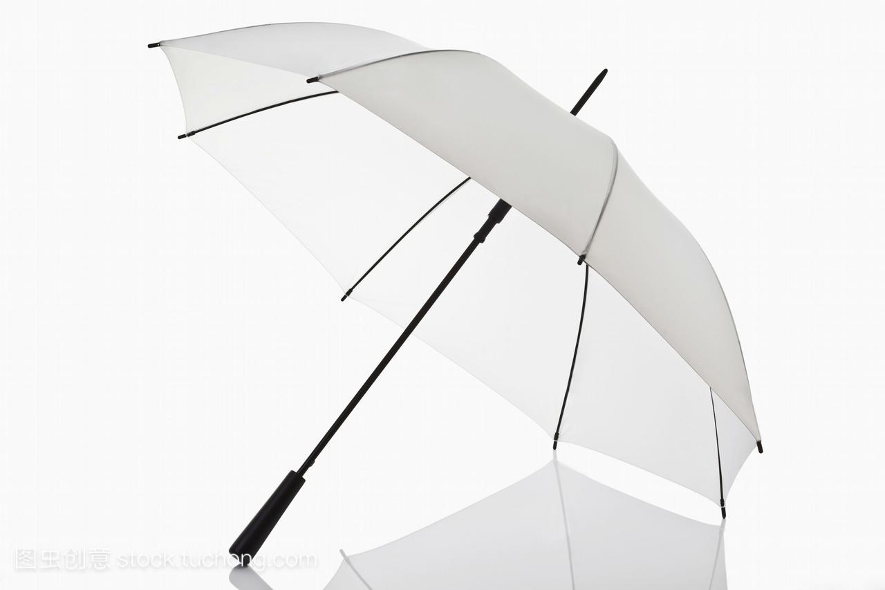 雨伞在白色背景