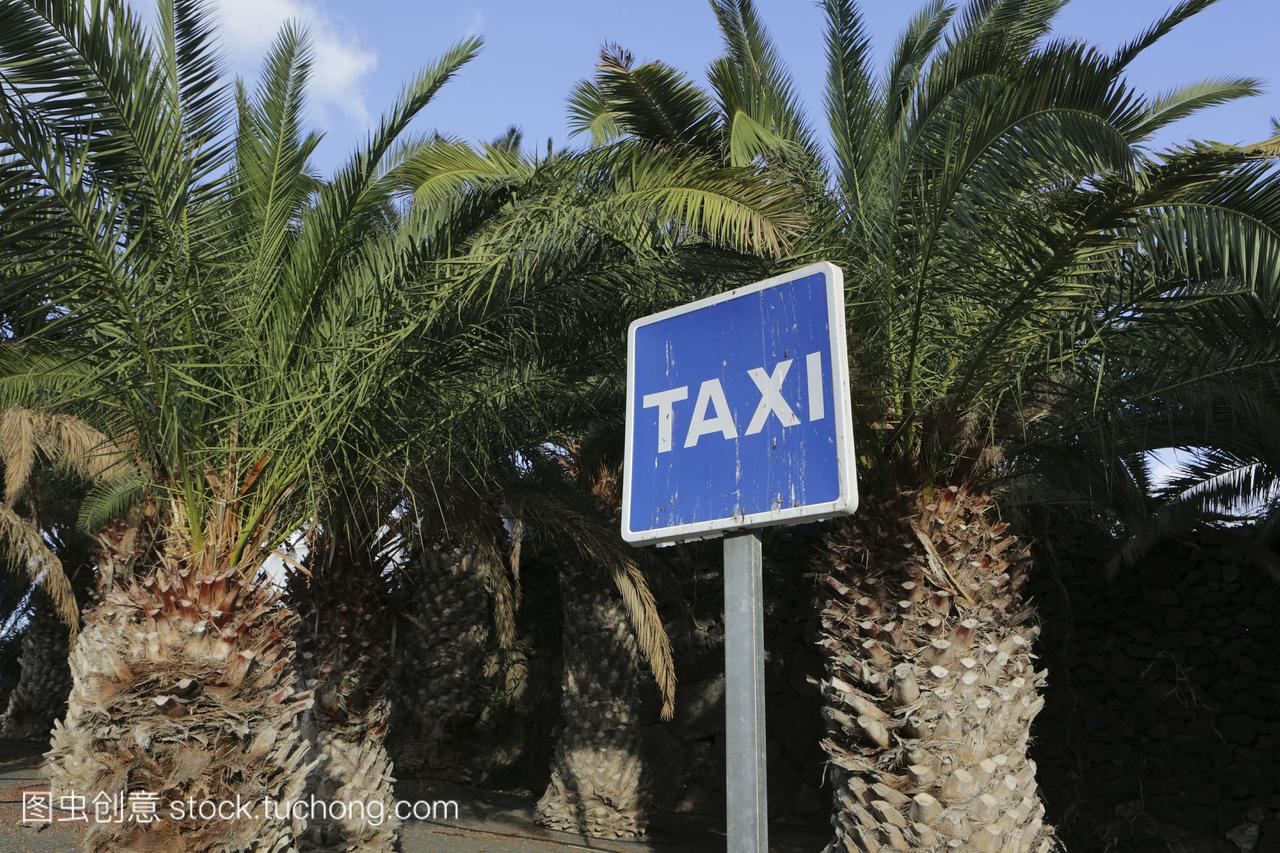 西班牙,lanzarotepuertocalero,出租车在棕榈树下
