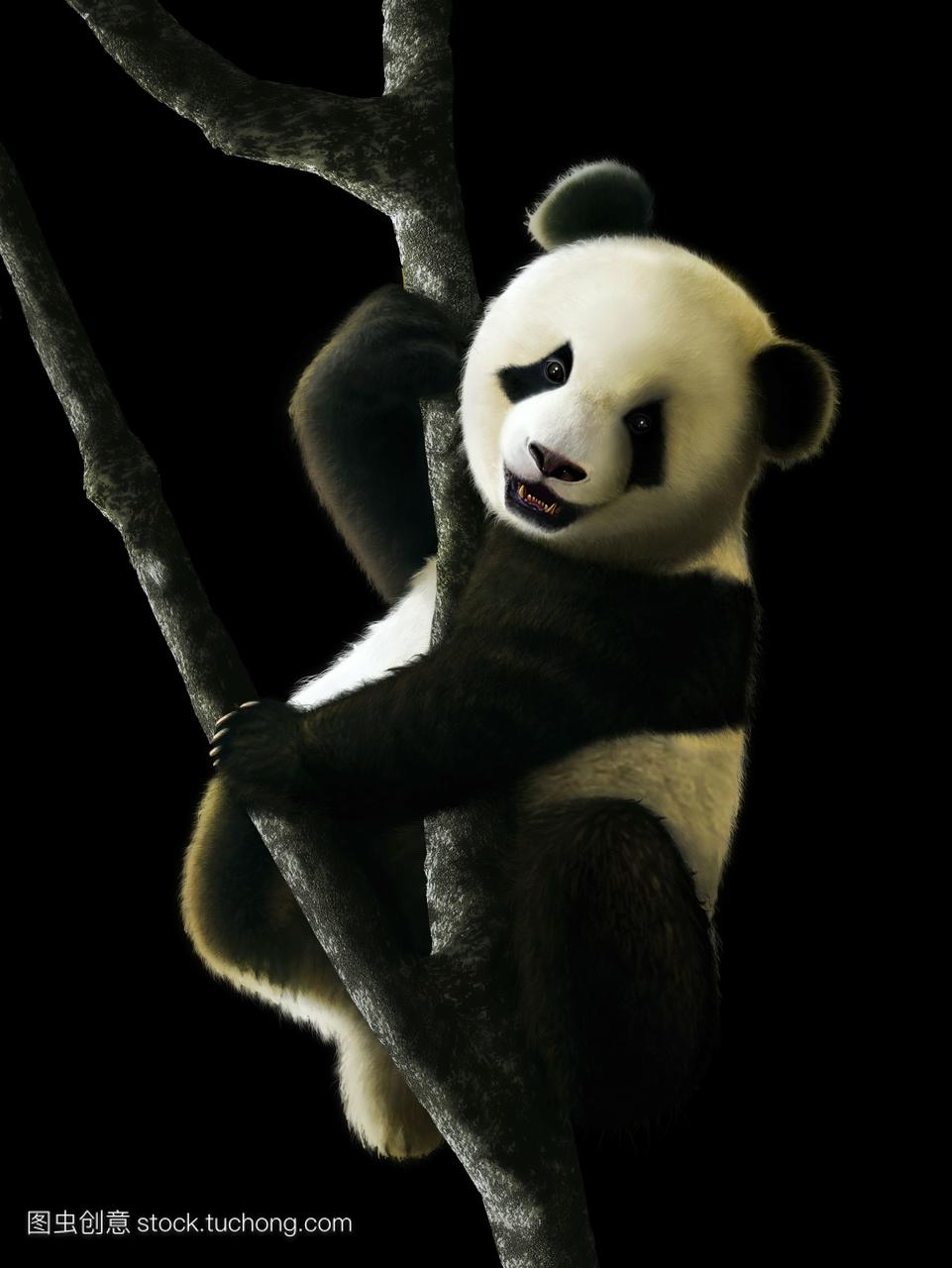 这幅画展示了一只幼年大熊猫ailuropodamelan