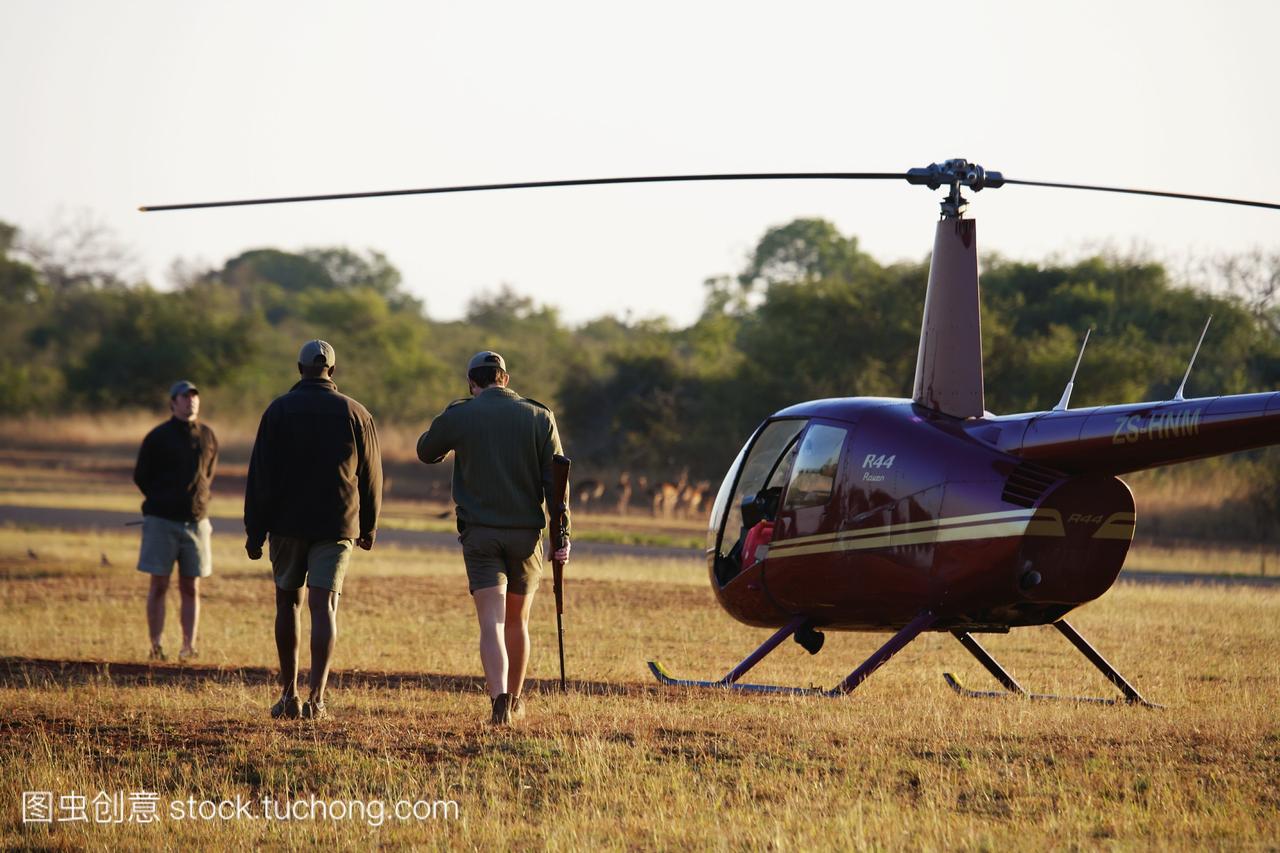 兽医和飞行员登上一架直升机犀牛切口后Phind
