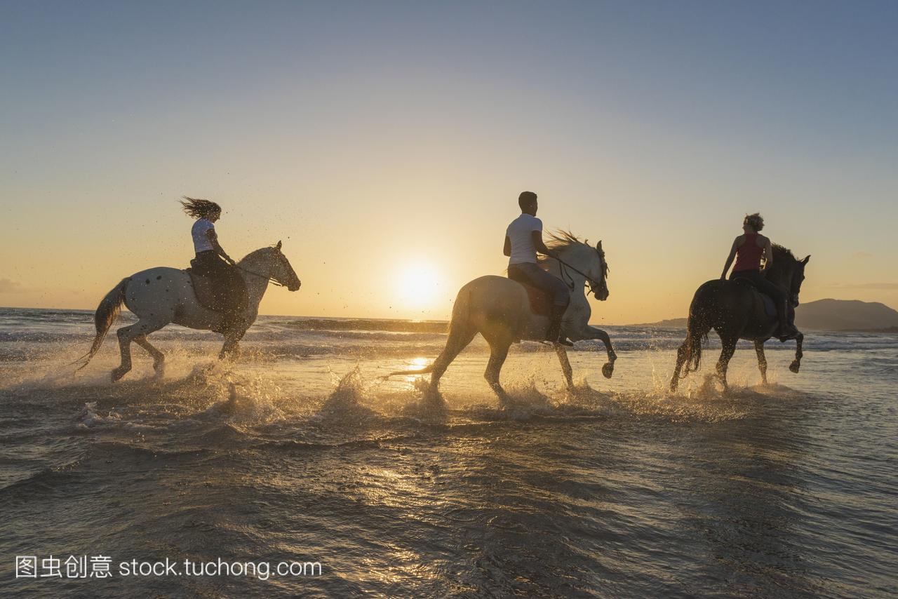 在夕阳下的浅水里骑马;诺尔安达卢西亚西班牙加的斯