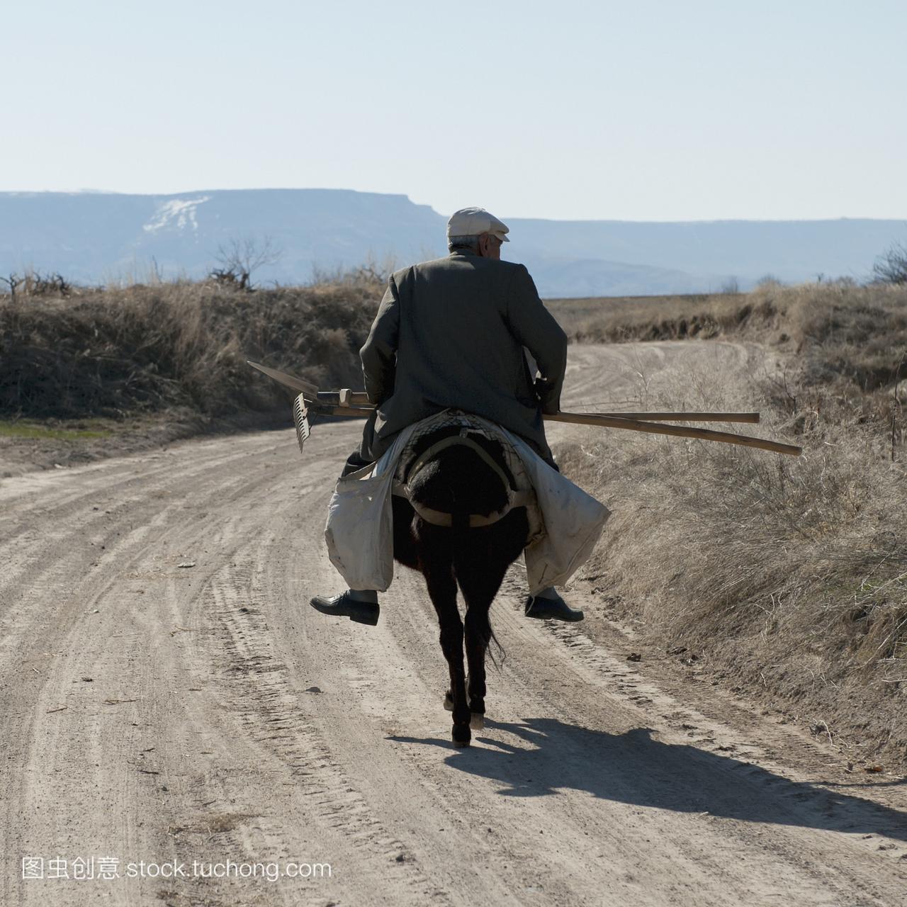 一个人骑着马沿着一条土路,带着园艺工具;orta