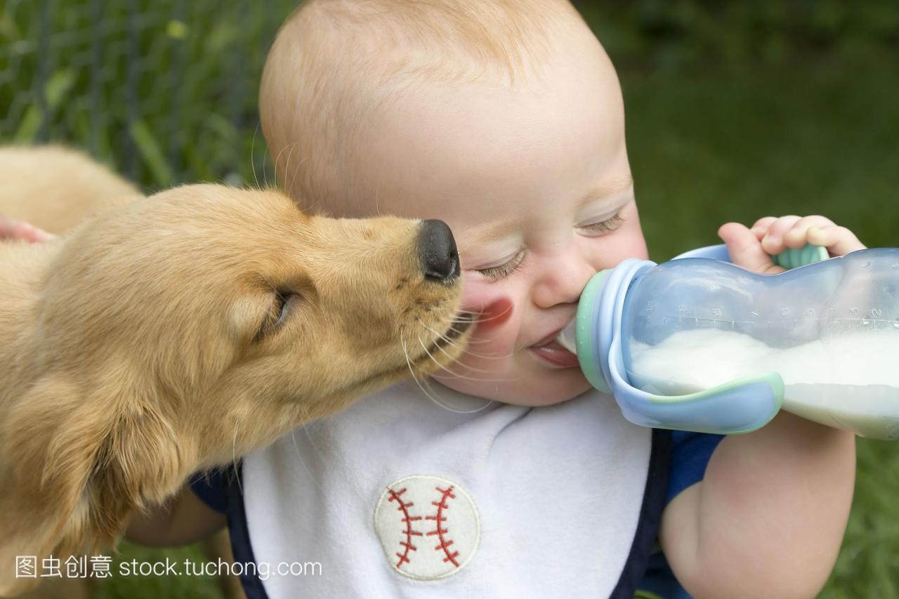 小男孩喝着奶瓶里的牛奶,小狗舔着他的脸,安大
